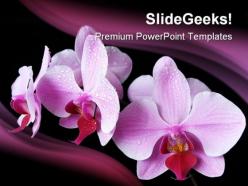 Aplectrum flower nature powerpoint templates and powerpoint backgrounds 0211