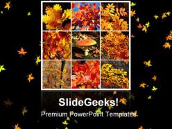 Autumn collage nature powerpoint templates and powerpoint backgrounds 0611