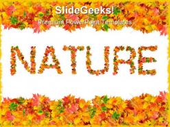 Autumn leaves nature powerpoint templates and powerpoint backgrounds 0711