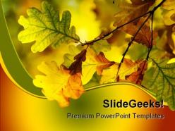 Autumn Leaves Shallow Nature PowerPoint Templates And PowerPoint Backgrounds 0511