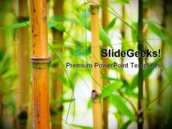 Bamboo nature powerpoint templates and powerpoint backgrounds 0111