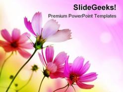 Beautiful pink flowers beauty powerpoint templates and powerpoint backgrounds 0411