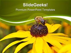 Bee on yellow flower nature powerpoint templates and powerpoint backgrounds 0311
