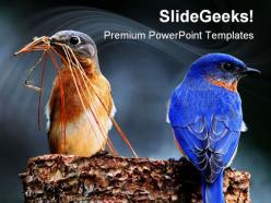 Blue birds animals powerpoint templates and powerpoint backgrounds 0111