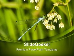 Blue dragonfly animals powerpoint templates and powerpoint backgrounds 0211