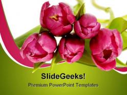 Bouquet of pink tulips beauty powerpoint templates and powerpoint backgrounds 0311