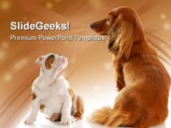 Bull dog puppy and dachshund animals powerpoint templates and powerpoint backgrounds 0211