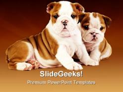 Bulldog puppies animals powerpoint templates and powerpoint backgrounds 0511