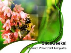 Bumble bee nature powerpoint templates and powerpoint backgrounds 0211