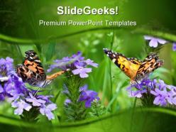 Butterflies nature powerpoint templates and powerpoint backgrounds 0211