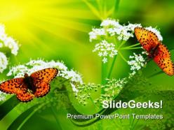 Butterflies on flowers nature powerpoint templates and powerpoint backgrounds 0211