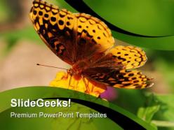 Butterfly and sunflower animals powerpoint templates and powerpoint backgrounds 0211
