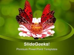 Butterfly animal powerpoint templates and powerpoint backgrounds 0511
