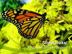 Butterfly animals powerpoint backgrounds and templates 0111