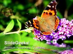 Butterfly on flower beauty powerpoint templates and powerpoint backgrounds 0211