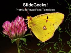 Clouded yellow butterfly animals powerpoint templates and powerpoint backgrounds 0111