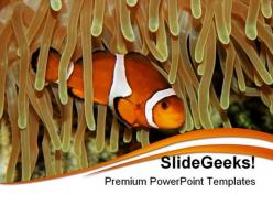 Clown fish animals powerpoint templates and powerpoint backgrounds 0211