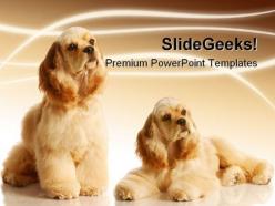 Cocker spaniels animals powerpoint templates and powerpoint backgrounds 0211