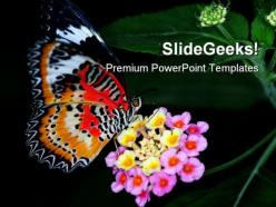 Colorful butterfly animals powerpoint templates and powerpoint backgrounds 0211