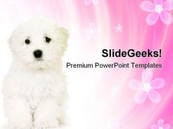 Cute dog animals powerpoint templates and powerpoint backgrounds 0711