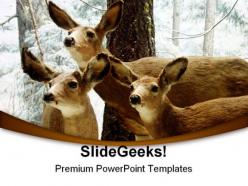 Deer animals powerpoint templates and powerpoint backgrounds 0211