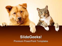Dog cat friends animals powerpoint backgrounds and templates 1210