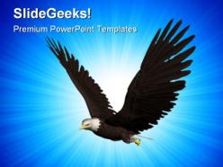 Eagle flying animals powerpoint templates and powerpoint backgrounds 0211