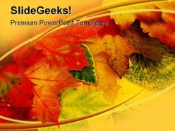 Fall leaves nature powerpoint backgrounds and templates 0111