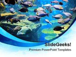 Fishes inside sea animals powerpoint templates and powerpoint backgrounds 0111