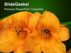 Flower beauty powerpoint templates and powerpoint backgrounds 0311