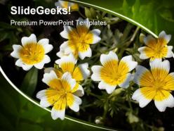 Flower nature powerpoint templates and powerpoint backgrounds 0311