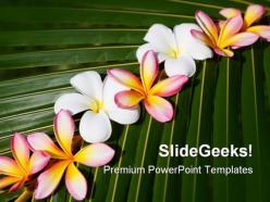 Frangipani on green leaf nature powerpoint templates and powerpoint backgrounds 0311