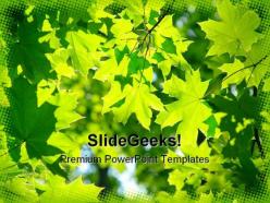 Fresh green maple leaves nature powerpoint templates and powerpoint backgrounds 0411