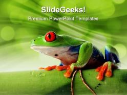 Frog animals powerpoint templates and powerpoint backgrounds 0211