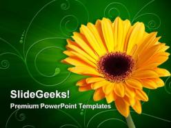 Gerber yellow flower beauty powerpoint templates and powerpoint backgrounds 0311