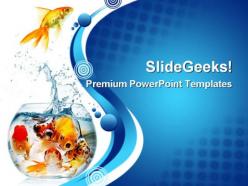 Gold fish animals powerpoint templates and powerpoint backgrounds 0311