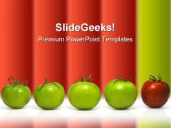 Green and red tomatoes food powerpoint templates and powerpoint backgrounds 0211