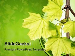 Green maple leaves nature powerpoint templates and powerpoint backgrounds 0511