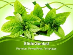 Green mint leaves nature powerpoint templates and powerpoint backgrounds 0211