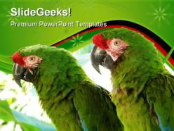 Green parrots animals powerpoint templates and powerpoint backgrounds 0611