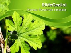Green plant nature powerpoint templates and powerpoint backgrounds 0611