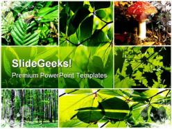 Green summer forest collage nature powerpoint templates and powerpoint backgrounds 0611