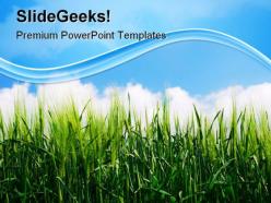 Green wheat plant nature powerpoint templates and powerpoint backgrounds 0511