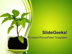 Growing green plant nature powerpoint templates and powerpoint backgrounds 0511