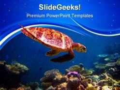 Hawksbill turtle swimming animals powerpoint templates and powerpoint backgrounds 0511