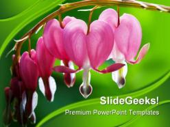 Heart flowers beauty powerpoint backgrounds and templates 0111