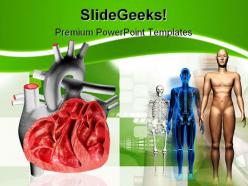 Heart human medical powerpoint backgrounds and templates 1210