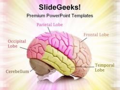 Human brain01 medical powerpoint templates and powerpoint backgrounds 0711
