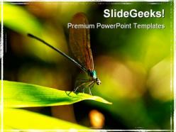 Insect macro laos animals powerpoint templates and powerpoint backgrounds 0211