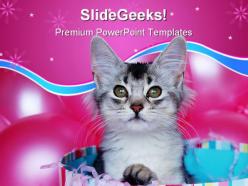 Kitten surprise animals powerpoint templates and powerpoint backgrounds 0511